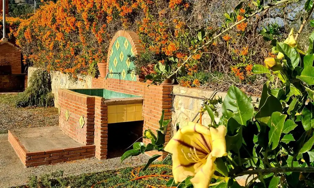 Jardín de Casa o chalet de alquiler en Vélez de Benaudalla con Jardín privado, Terraza y Piscina