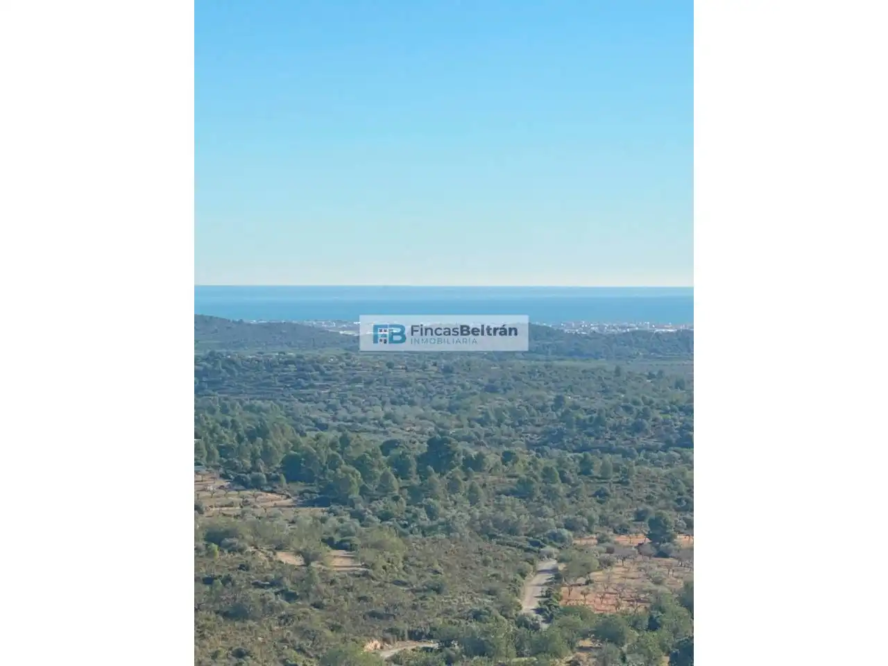 Rural land for sale in Poligono 36, parcela 240, imagen 11