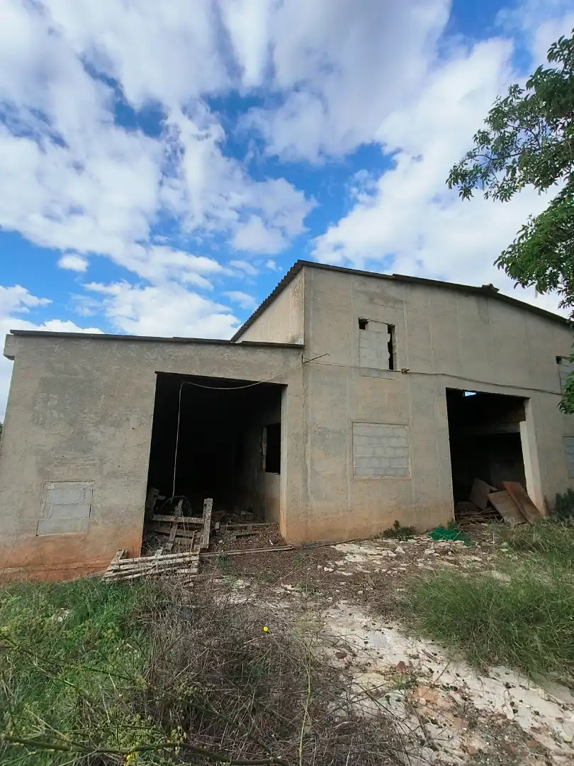 Vista exterior de Finca rústica en venta en Inca