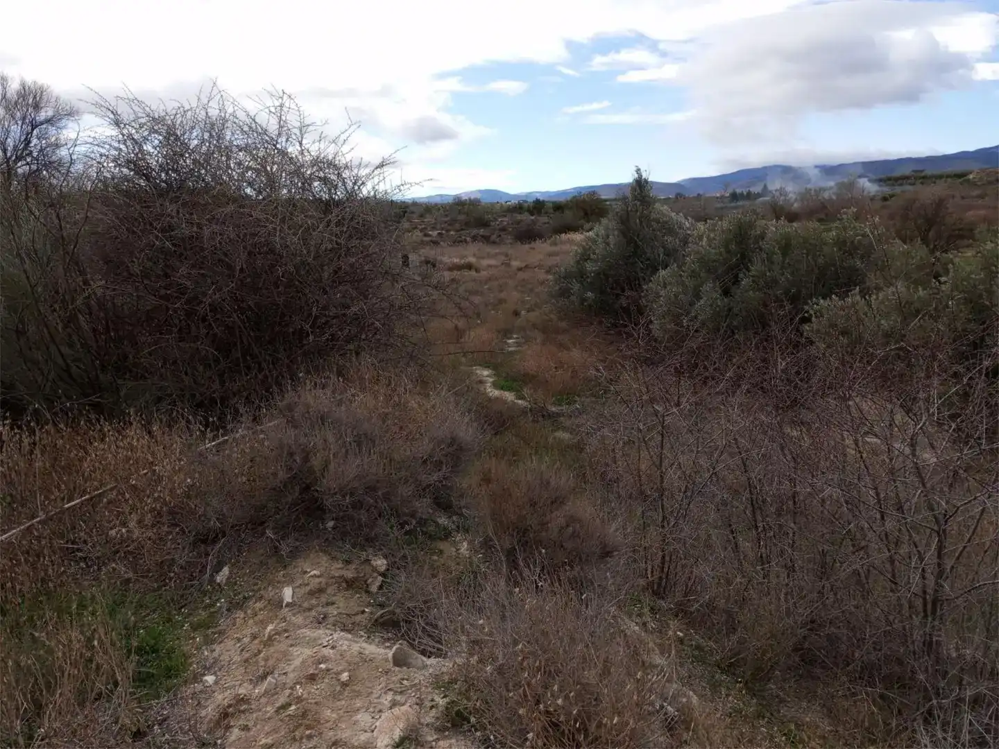 Casa o chalet en venta en Baza