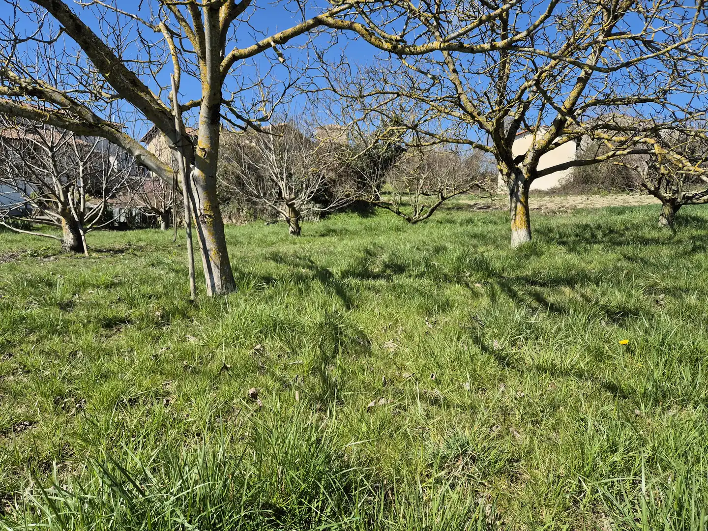 Residential land for sale in Calle San Juan 34, imagen 15