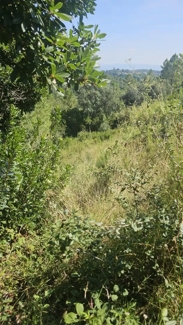 Terreno residencial en venta en Massanes, imagen 6