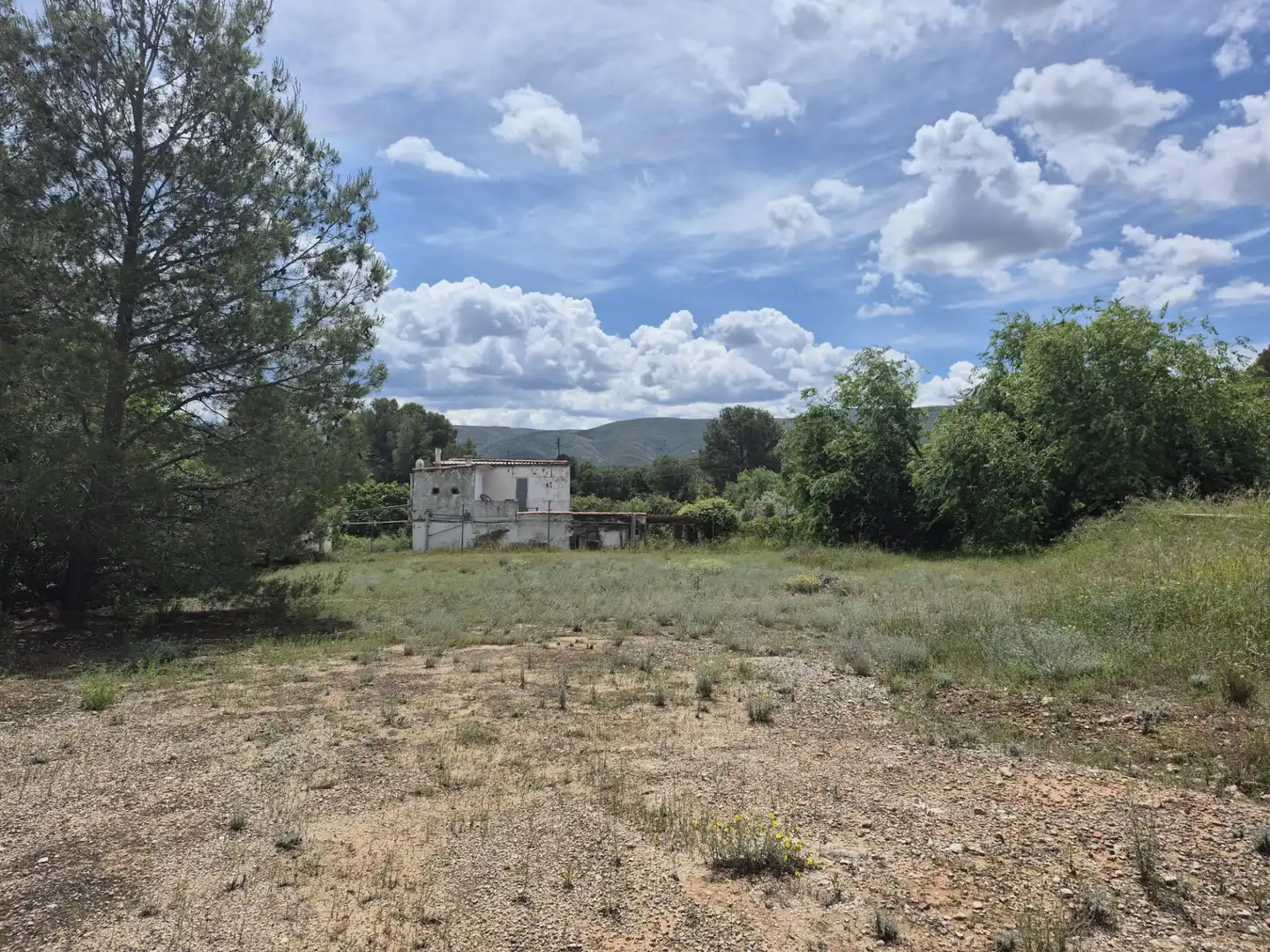 Houses for sale in Sollana  with Terrace