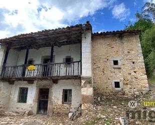 Vista exterior de Finca rústica en venda en Peñamellera Alta