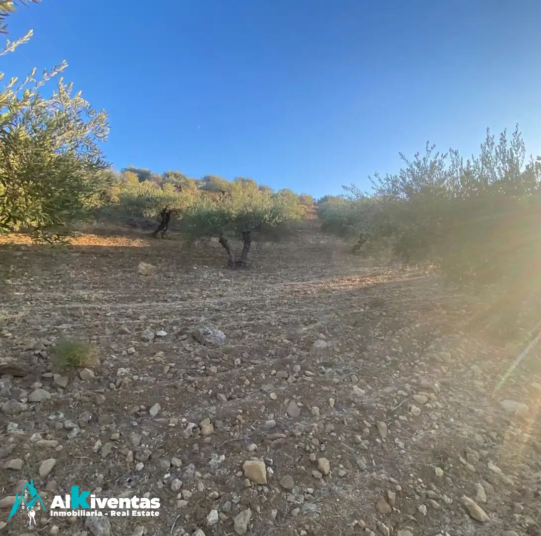 Terreni e lotti in vendita a Casarabonela, imagen 6