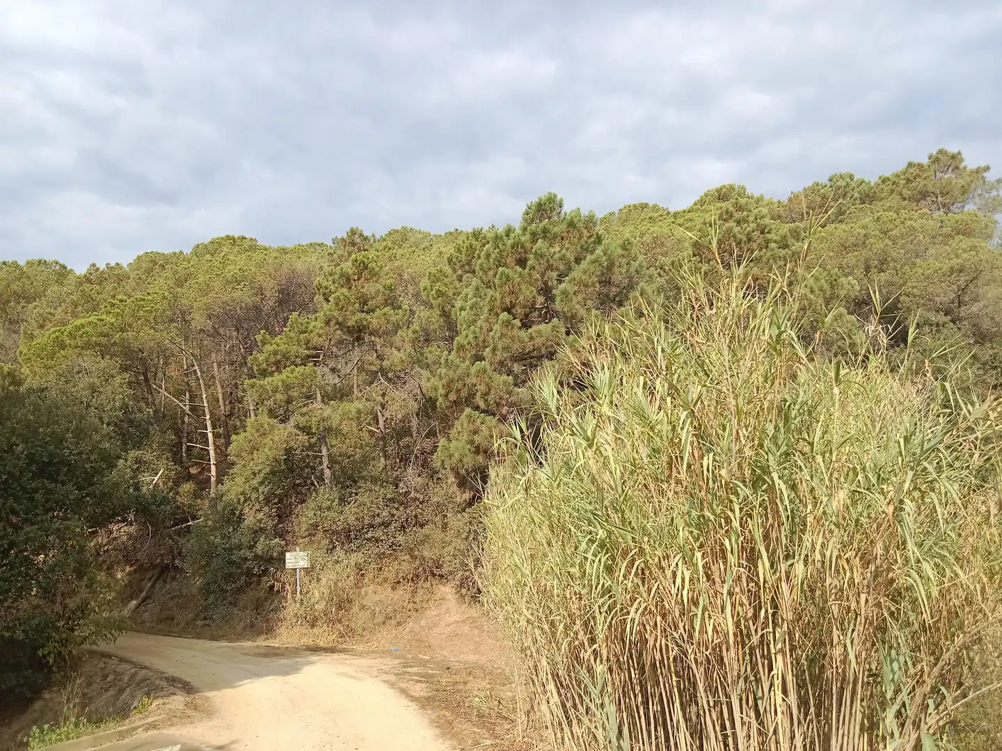 Terrenos y solares en venta en Sant Cebrià de Vallalta, imagen 9