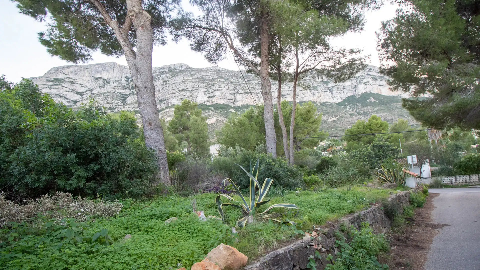 Terreny residencial en venda a El Montgó, imagen 3