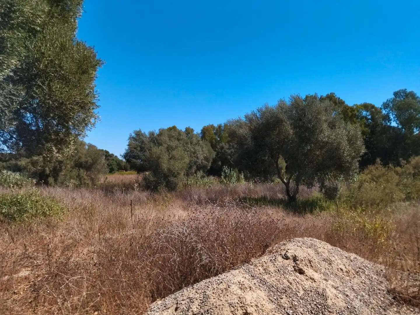 Terreno en venta en Vejer de la Frontera