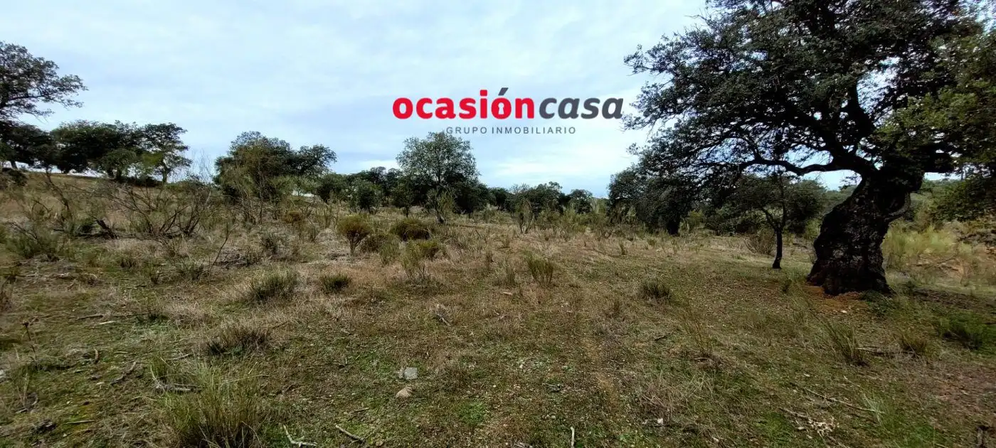 Finca rústica en venta en Torrecampo