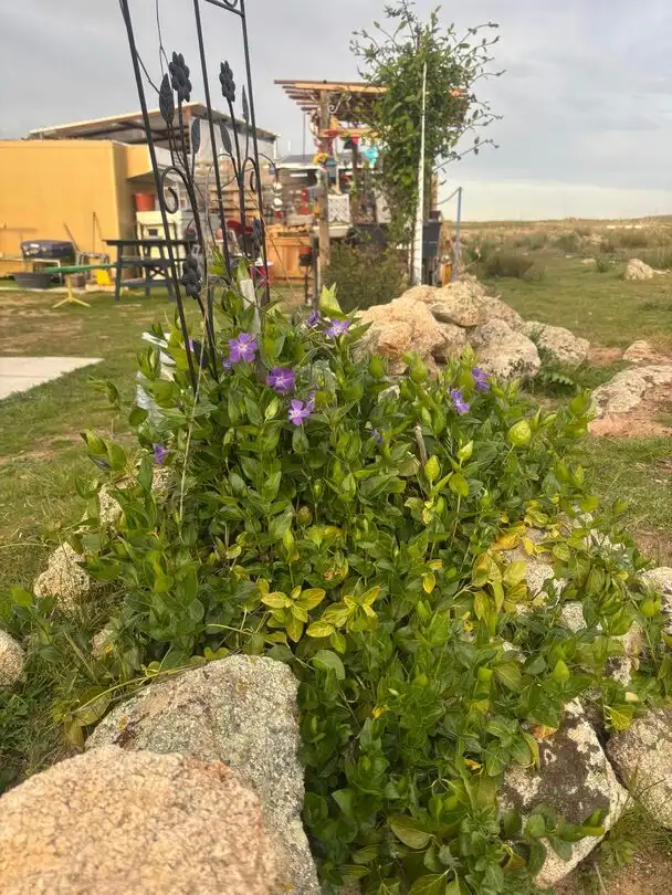Terreni e lotti in vendita a Villaminaya, imagen 6