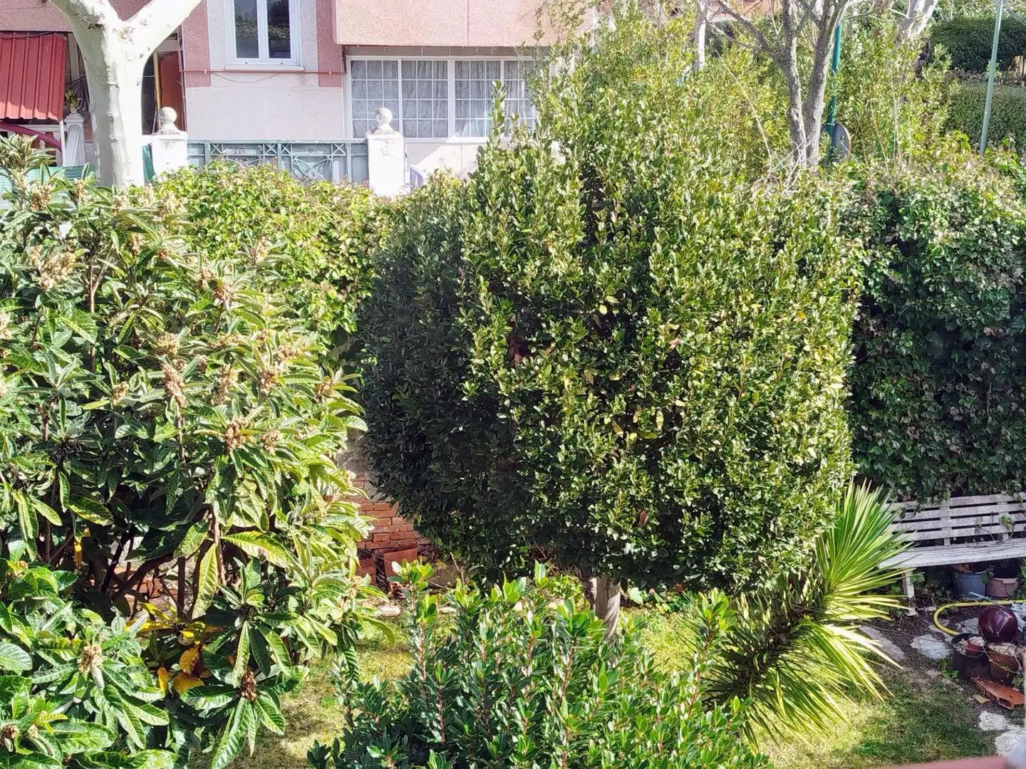 Jardín de Casa o chalet en venta en Pozuelo de Alarcón con Calefacción