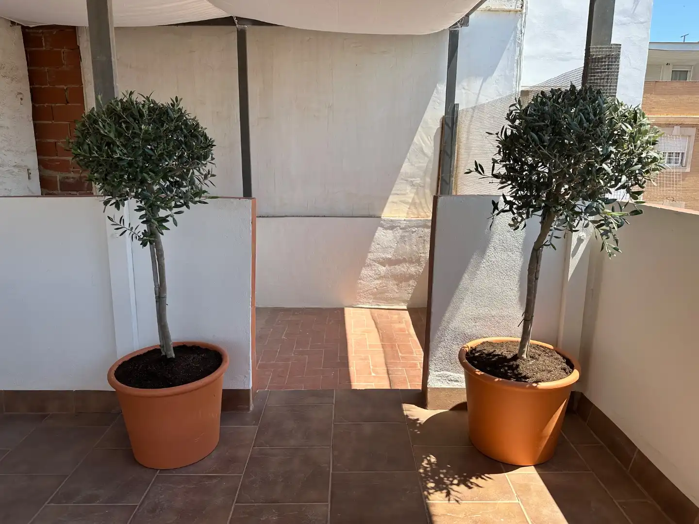 Àtic de lloguer a Carrer Pintor Sorolla, 10, Sagunto / Sagunt