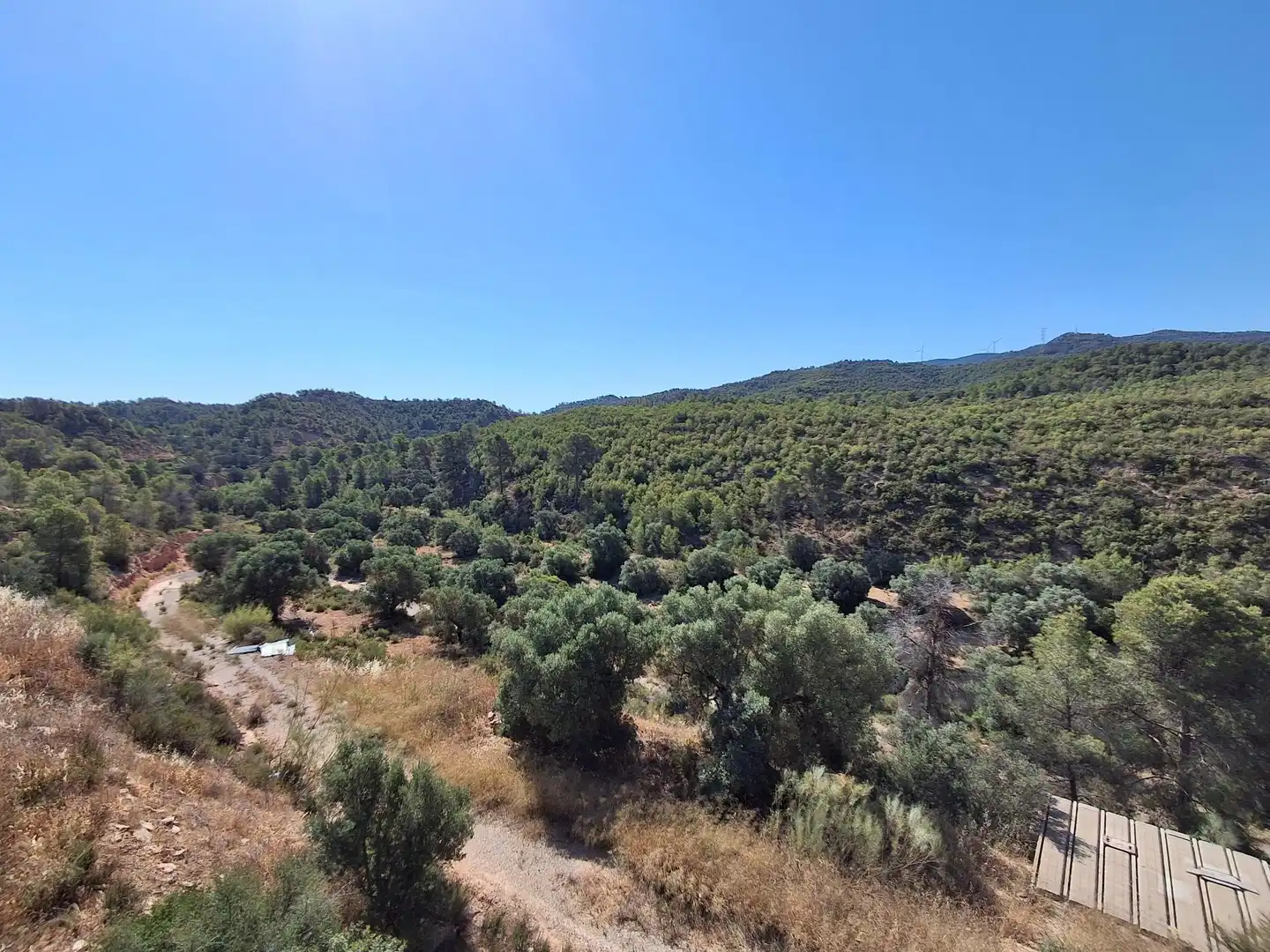 Finca rústica en venda en Riba-roja d'Ebre