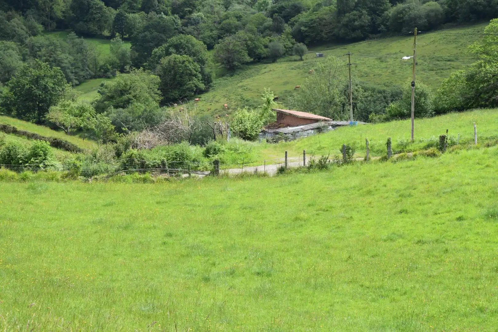 Terreno residenziale in vendita a Carretera Los Molinos 19, imagen 37