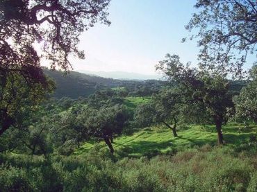 Residential land for sale in Santa Olalla del Cala