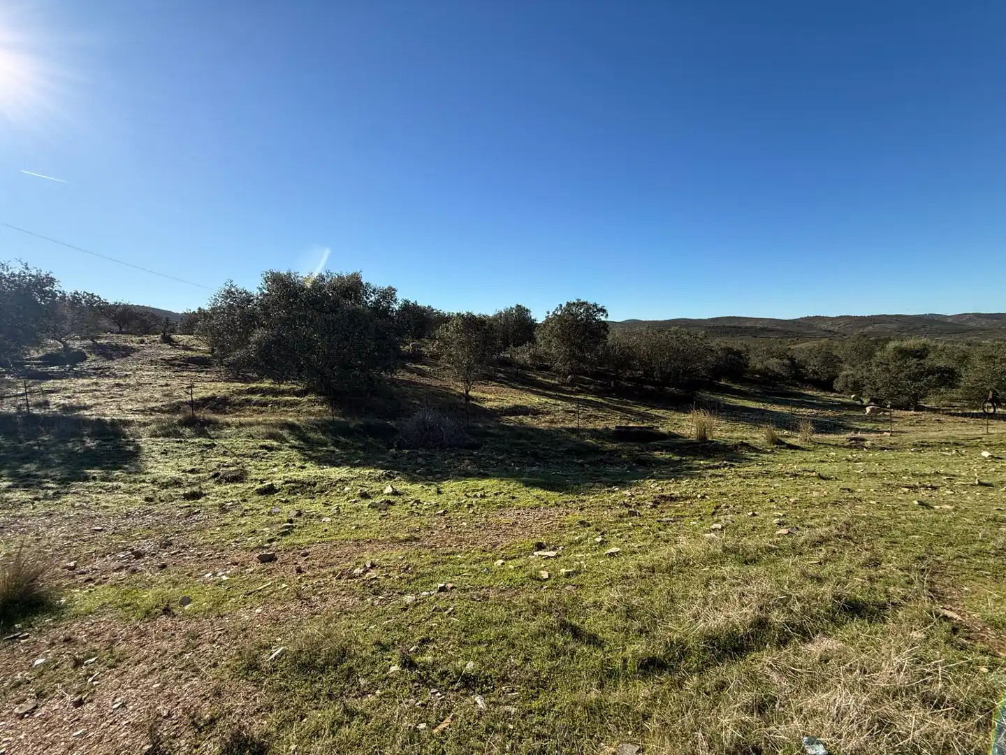 Finca rústica en venta en Villanueva de los Castillejos