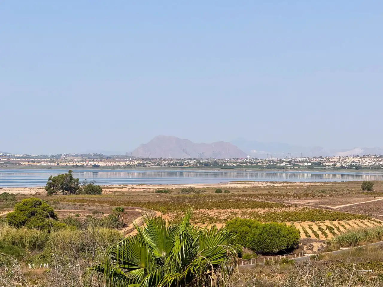 Apartament amb terrassa en venda a La Mata, imagen 23