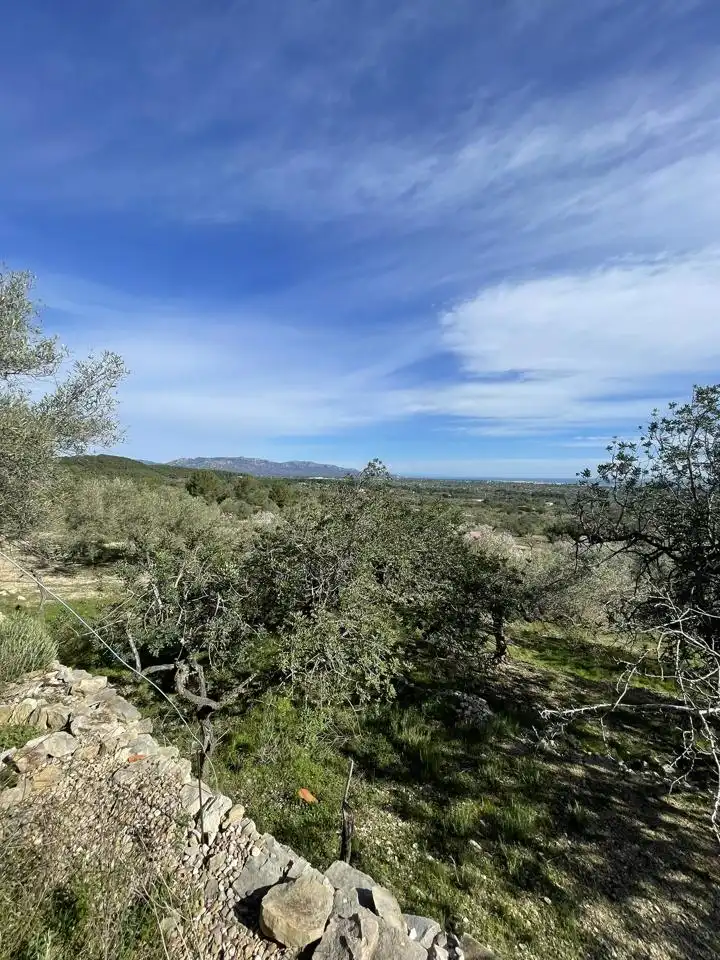 Finca rústica en venta en L'Ametlla de Mar 