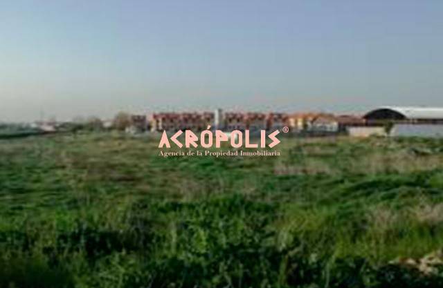 Terreno en Venta en Urbanización Siglo XXI - Carretera de Villalpando