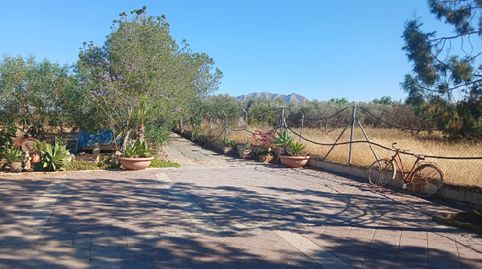 Foto 2 von Einfamilien-Reihenhaus zum Verkauf in Albatera, Alicante