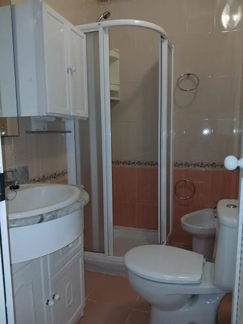 Bany de Casa o xalet en venda en San Fernando amb Aire condicionat i Balcó