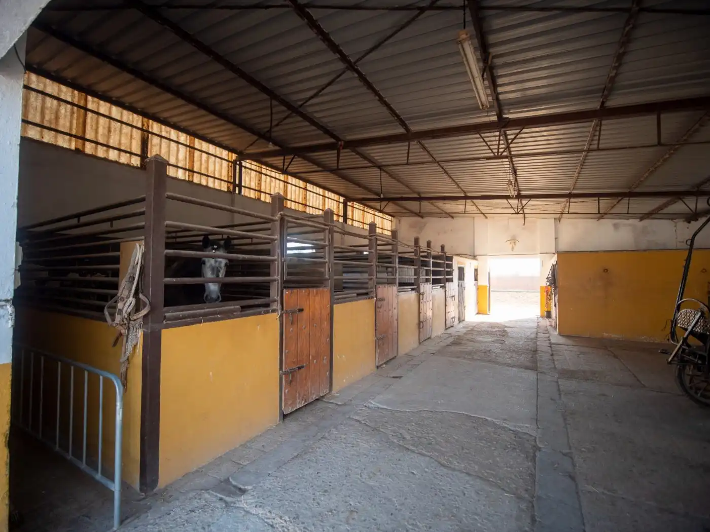 Finca rústica en venta en Chipiona con Jardín privado y Terraza