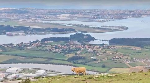 Foto 3 de Casa o xalet en venda a Barrio Castañalera-socabarga, Anaz - Sobremazas - San Vitores, Cantabria