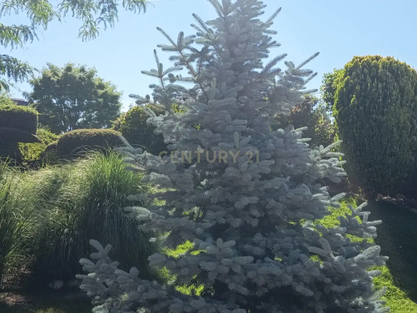 Jardín de Apartamento de alquiler en Majadahonda con Trastero, Horno y Lavadora