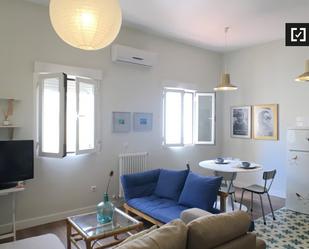 Living room of Flat to rent in  Madrid Capital  with Air Conditioner, Heating and Furnished
