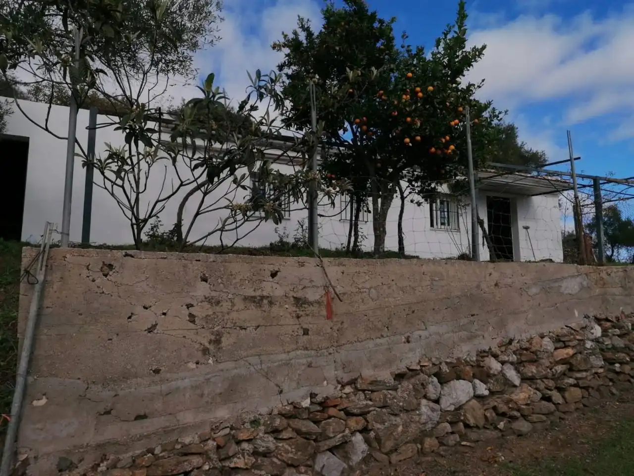 Casa rustica in vendita a Benalauría, imagen 3