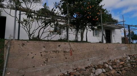 Venta de casa de campo en Portada AltaCamino de Antequera, Málaga Capital, imagen 3