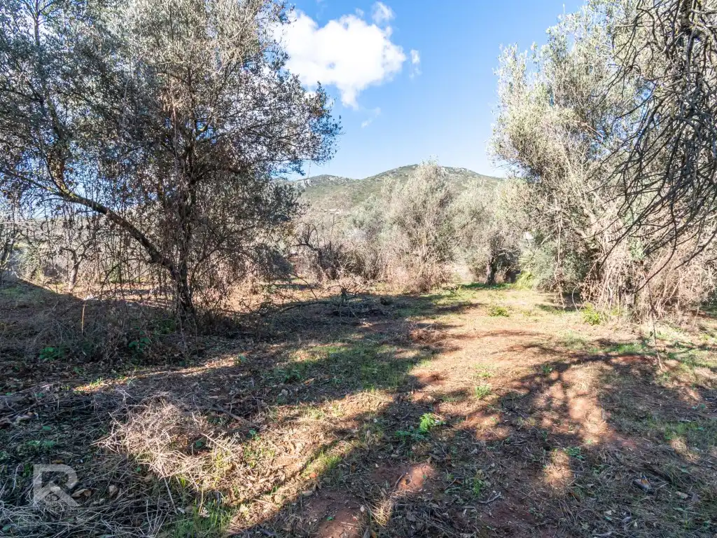 Casa o chalet en venta en Vilallonga / Villalonga