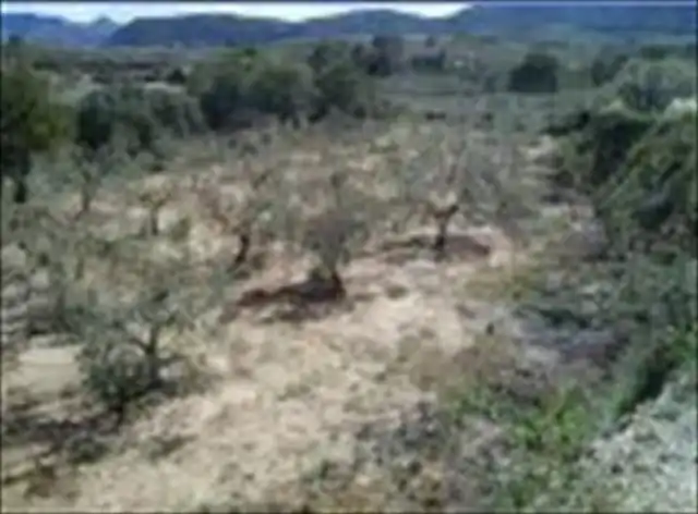 Terreny rústic en venda a Beniatjar, imagen 4