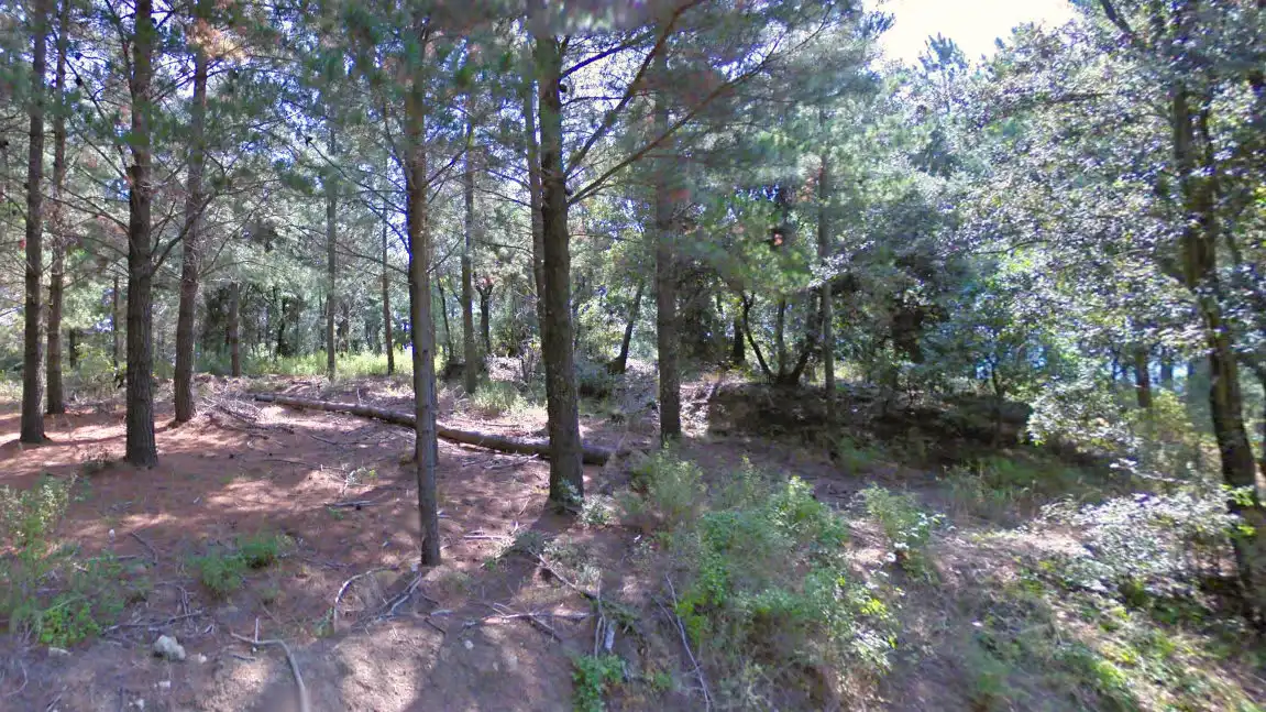 Rural land for sale in Paraje La Corbera, imagen 12