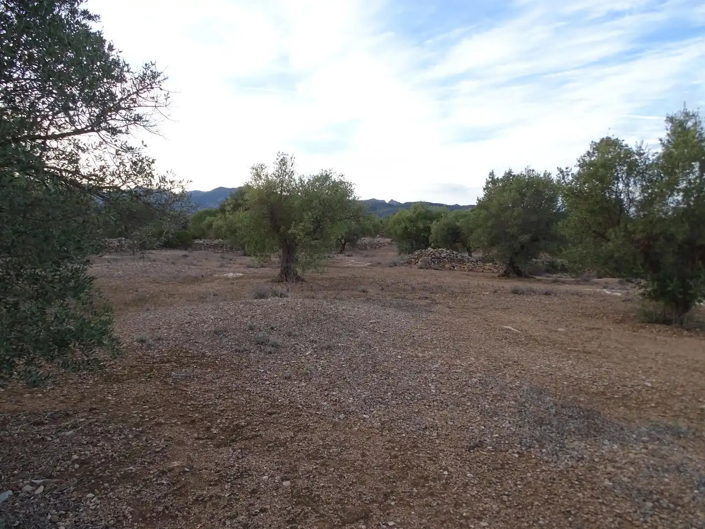 Terrain résidentiel à vendre à 16, imagen 14