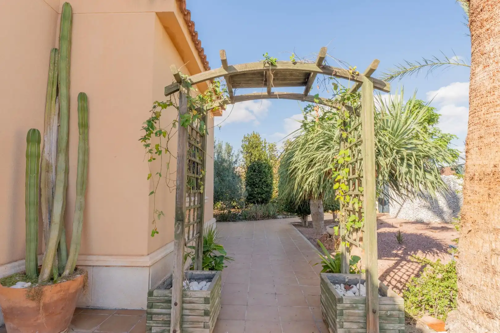 Jardín de Casa o chalet en venta en Elche / Elx con Trastero, Piscina y Balcón
