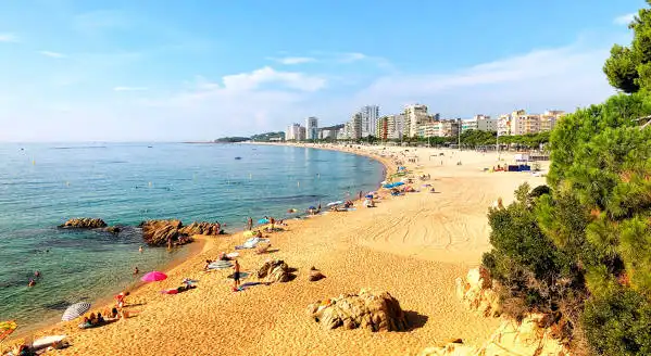 Local comercial en traspaso en Platja d'Aro, imagen 3