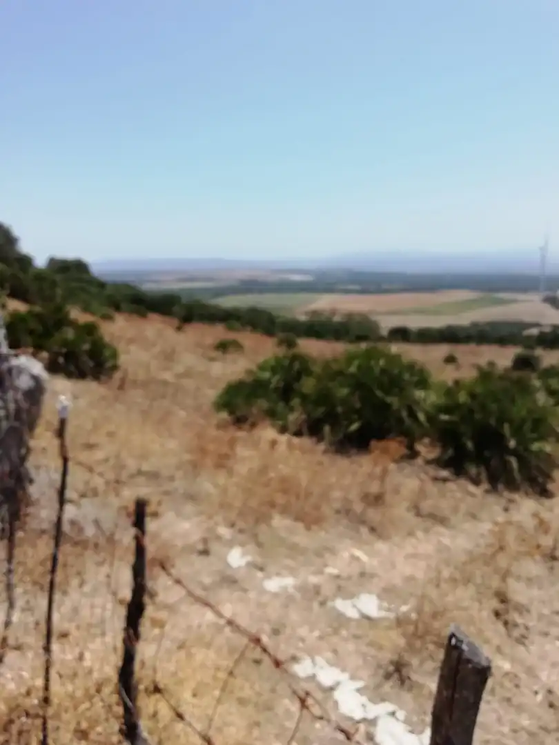 Casa rústica en venda a Medina Sidonia, imagen 4