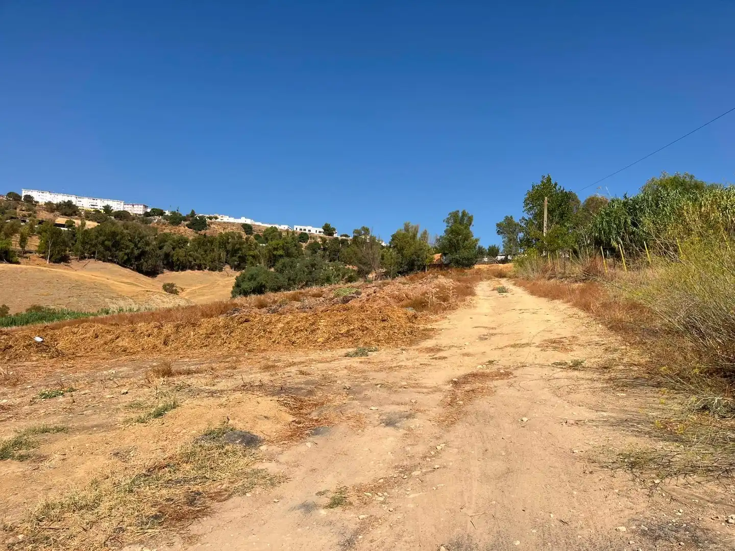 Rural land for sale in Carmona