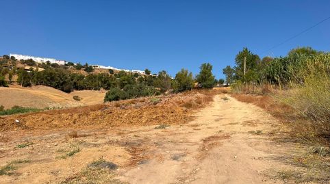 Venta de finca rústica en Carmona Sevilla