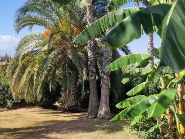 Jardí de Casa o xalet en venda en Alhaurín El Grande amb Aire condicionat, Jardí privat i Terrassa
