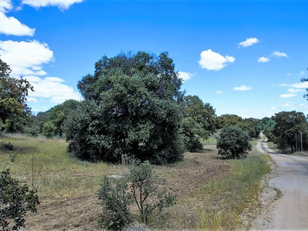 Finca rústica en venda en Navalcarnero