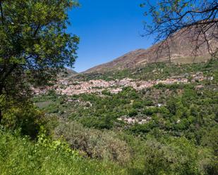 Vista exterior de Finca rústica en venda en Güejar Sierra