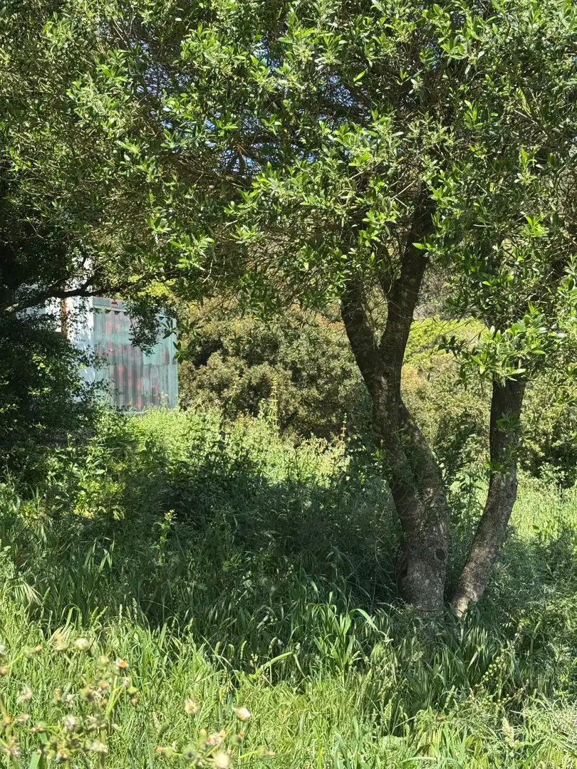 Residential zum Verkauf in El Cuartón - El Bujeo