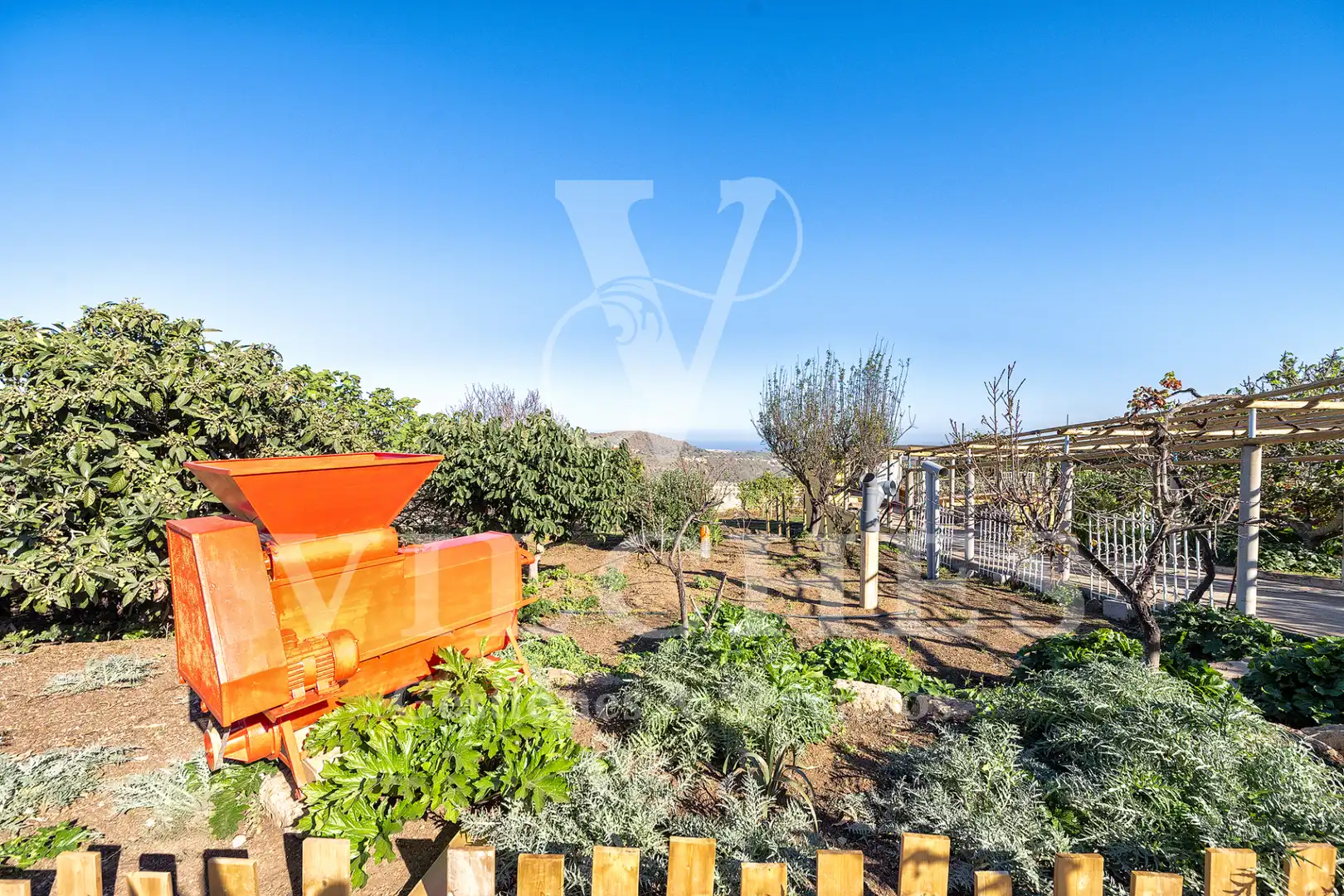 Jardí de Casa o xalet en venda en Santa Brígida amb Jardí privat, Terrassa i Traster