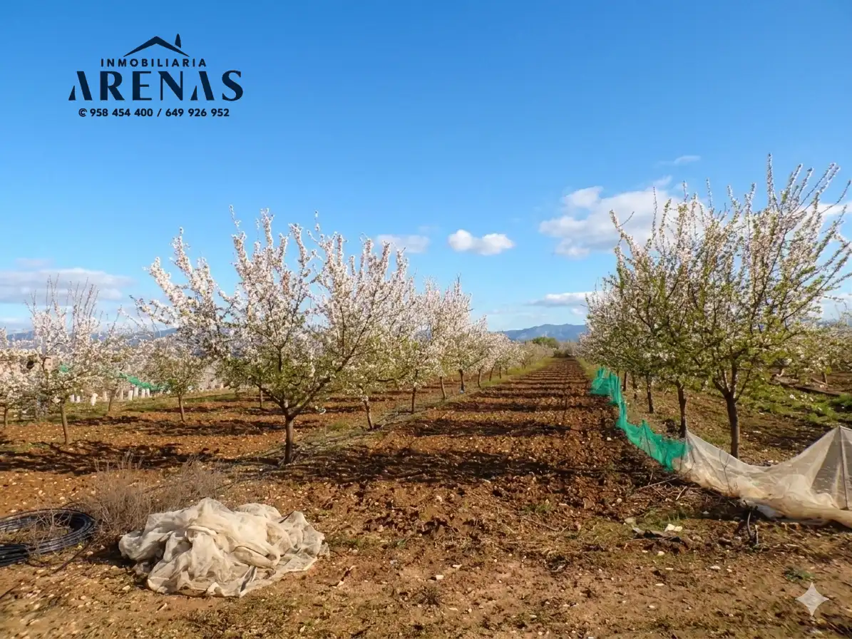 Terreni e lotti in vendita a Calle Pozo de Escóznar, imagen 2