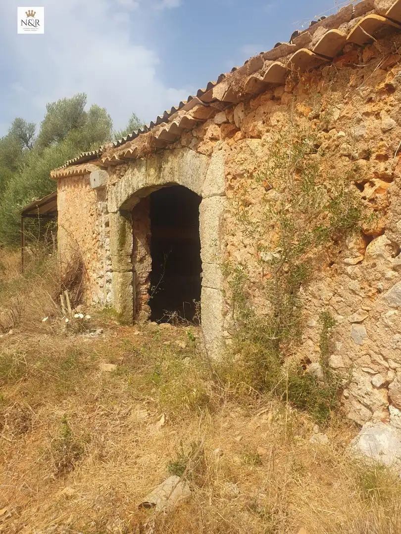 Finca rústica en venta en Sencelles