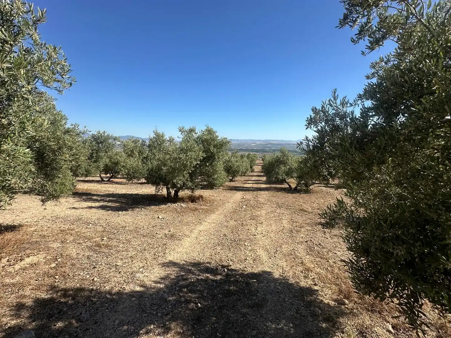 Terreni e lotti in vendita a Atarfe, imagen 7