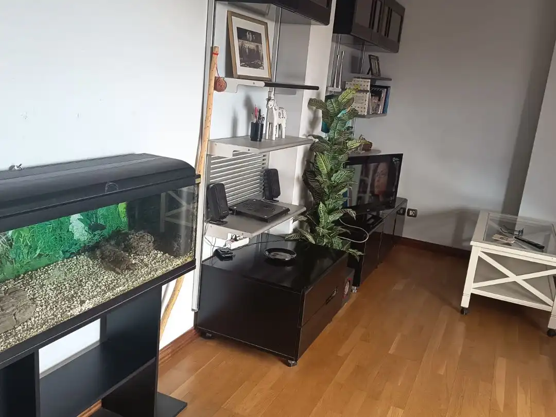 Sala de estar de Ático en venta en  Madrid Capital con Terraza
