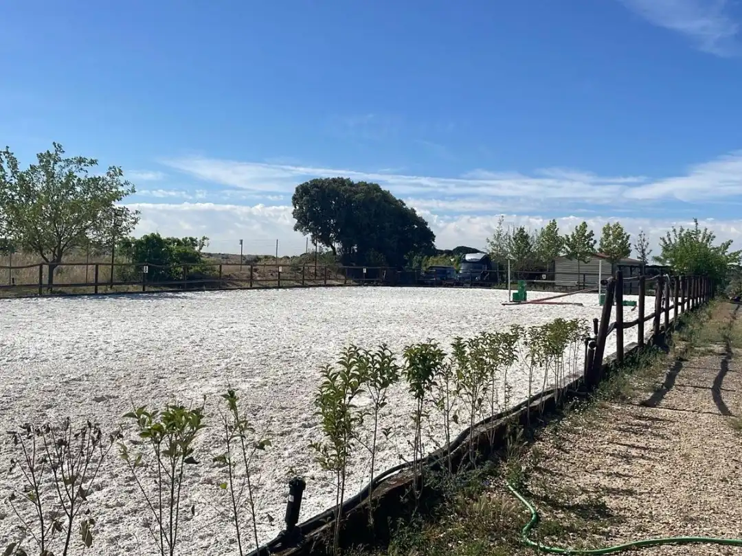 Terreno rustico in vendita a Camino de las Salinas 5, imagen 41